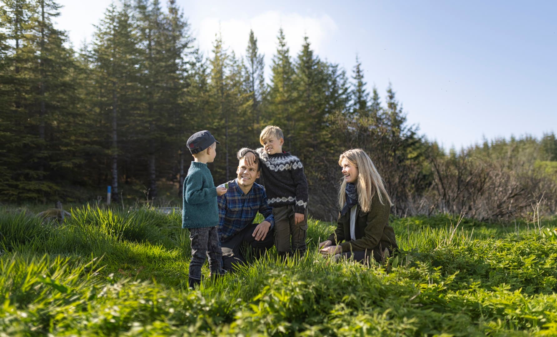 Hvolsvöllur og nágrenni — útsýni yfir bæinn og fjöllin