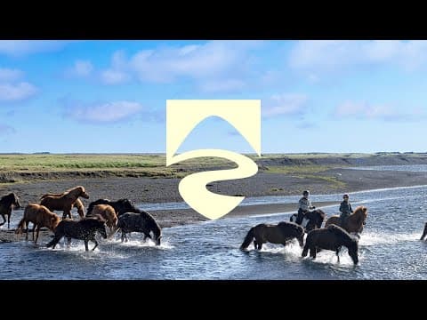 Draumaveröld hestamannsins Hulda og Elvar – viðtal